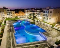 Heart of Pafos